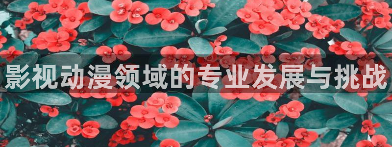 星海之外定档海报